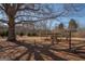 Large tree and bare branches casting shadows on the lawn at 382 Lamb Rd, Moreland, GA 30259