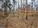 Natural wooded lot covered in leaves showing trees and undergrowth at 116 Appalachee Church Rd, Auburn, GA 30011
