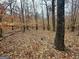 Scenic woodland view of a wooded lot, perfect for nature enthusiasts at 116 Appalachee Church Rd, Auburn, GA 30011