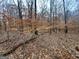 Picturesque scene of a heavily wooded lot blanketed with fallen leaves at 116 Appalachee Church Rd, Auburn, GA 30011