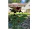 Landscaped backyard with a rock garden and lush flowers at 200 Timber Ridge Dr, Mcdonough, GA 30252