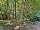 Secluded lot, covered in mature trees and lush greenery, offers privacy and natural beauty at 200 Timber Ridge Dr, Mcdonough, GA 30252