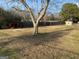 Spacious backyard featuring mature tree, shed, and a wooden fence at 376 Lakewood Dr, Social Circle, GA 30025