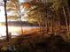 Mist covered lake framed by tall trees and golden grasses creating a peaceful and picturesque natural setting at 130 Dockside Dr # 380, Fayetteville, GA 30215