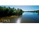 Scenic lake view with lush green trees and blue skies, showcasing a peaceful natural setting at 130 Dockside Dr # 380, Fayetteville, GA 30215