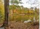 Scenic view of the pond with colorful foliage reflected in the calm water at 130 Dockside Dr # 380, Fayetteville, GA 30215