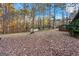 Large backyard with mature trees, foliage, and a small storage shed at 11800 Pine Needle Ln, Hampton, GA 30228