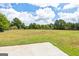 Expansive backyard featuring lush greenery at 153 Cedar Ridge Rd, Locust Grove, GA 30248