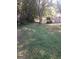 Large, grassy backyard with mature trees and a wooden fence surrounding the property at 2421 Rockbridge Sw Rd, Stone Mountain, GA 30087