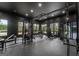 Well-equipped home gym with weight machines and views to the exterior at 740 Bethpage Dr, Mcdonough, GA 30253