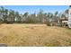 Large backyard with a basketball hoop, providing plenty of room for outdoor games and entertainment at 40 Berkshire Run, Covington, GA 30016