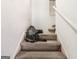 Carpeted staircase with white walls needing repair at 3623 Meadow Glen Cir, Ellenwood, GA 30294