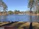 Picturesque lake view featuring calm water and natural shoreline with a cluster of ducks on the grass at 3140 Jodeco Dr, Jonesboro, GA 30236