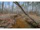 Scenic view of a creek flowing through a wooded area, with a fallen tree spanning across at 613 Rock Springs Pass, Dallas, GA 30157