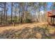 View of large wooded backyard at 787 N Ola Rd, Mcdonough, GA 30252