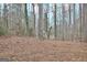 View of the backyard and woods featuring a sparse covering of fallen leaves at 200 Deer Forest Trl, Fayetteville, GA 30214