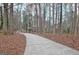 Long driveway leading to the house through a wooded lot at 200 Deer Forest Trl, Fayetteville, GA 30214