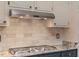 Close-up of a kitchen with stainless steel range hood and granite countertops at 135 Oakpark Ter, Mcdonough, GA 30253