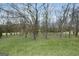 Lush green lawn with mature trees, offering a tranquil and shaded environment at 757 Fischer Rd, Sharpsburg, GA 30277