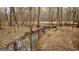 A wooded area with a stream running through it at 757 Fischer Rd, Sharpsburg, GA 30277
