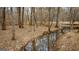 Serene stream view of a wooded area at 757 Fischer Rd, Sharpsburg, GA 30277
