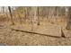 Natural wooded area full of brown leaves and fallen tree limbs at 757 Fischer Rd, Sharpsburg, GA 30277