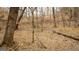 Leaf-covered natural wooded area at 757 Fischer Rd, Sharpsburg, GA 30277