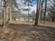 View of the home from the yard, surrounded by mature trees providing shade and privacy at 3930 W Side Pl, Ellenwood, GA 30294