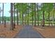 Paved trail through the neighborhood, lined with tall trees, leading to scenic views and recreational amenities at 101 Nightwind Ct, Peachtree City, GA 30269