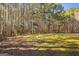 Large, sunny backyard featuring a mix of open grassy space and mature trees at 100 Windmeadow Way, Fayetteville, GA 30214