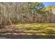 Large grassy backyard surrounded by towering trees creating private oasis at 100 Windmeadow Way, Fayetteville, GA 30214