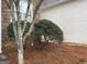 Side exterior featuring stone accents, manicured bushes, and well-maintained yard at 9135 Woodhaven Way, Mcdonough, GA 30253