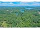 Stunning aerial view of the lake surrounded by lush forests, showcasing the natural beauty of the area at 5200A Burruss Mill Rd, Cumming, GA 30041