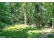 Lush backyard features a well-manicured lawn, mature trees, and access to a serene creek at 5200A Burruss Mill Rd, Cumming, GA 30041