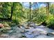 Scenic view of a rocky creek running through a lush green forest, creating a tranquil natural setting at 5200A Burruss Mill Rd, Cumming, GA 30041