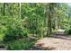 Serene creek view winding through the property, framed by lush greenery and mature trees for a peaceful ambiance at 5200A Burruss Mill Rd, Cumming, GA 30041
