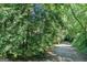 Scenic view of wooded driveway, the house's roof barely visible behind trees, hinting at a private, serene retreat at 5200A Burruss Mill Rd, Cumming, GA 30041