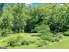 Expansive green space featuring lush trees, creating a private and tranquil outdoor environment at 5200A Burruss Mill Rd, Cumming, GA 30041