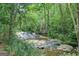 Scenic wooded view showcasing a natural water feature with rocks and flowing water at 5200A Burruss Mill Rd, Cumming, GA 30041