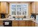 Kitchen detail showing stainless sink, granite counters, and view of wooded backyard at 256 Allie Dr, Mcdonough, GA 30252