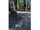 A paved driveway provides ample parking space, surrounded by mature trees and greenery at 1125 Carlo Sw Ct, South Fulton, GA 30331