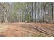 Large backyard area featuring mature trees and natural landscaping at 115 Foxford Run, Tyrone, GA 30290