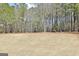 Expansive backyard with a backdrop of mature trees offering privacy at 115 Foxford Run, Tyrone, GA 30290