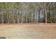 Spacious backyard with mature trees providing shade and privacy at 115 Foxford Run, Tyrone, GA 30290