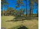 Spacious front yard features mature trees and lush green grass at 225 Banks Rd, Fayetteville, GA 30214