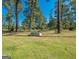 Expansive yard with tall trees, perfect for outdoor activities at 225 Banks Rd, Fayetteville, GA 30214