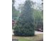 Street view with mature landscaping and visible signage at 923 Regal Path Ln, Decatur, GA 30030