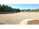 A spacious manicured backyard featuring neatly trimmed bushes, mature trees, and a stone path at 550 Wentworth Ct, Fayetteville, GA 30215