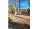 Lush backyard with mature trees providing shade and privacy for outdoor enjoyment and recreation at 8380 Cedar Grove & 8400 Teal Road Rd, Fairburn, GA 30213