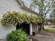 Garage exterior with climbing yellow roses offering a warm welcome and natural beauty at 245 Longshore Way, Fayetteville, GA 30215